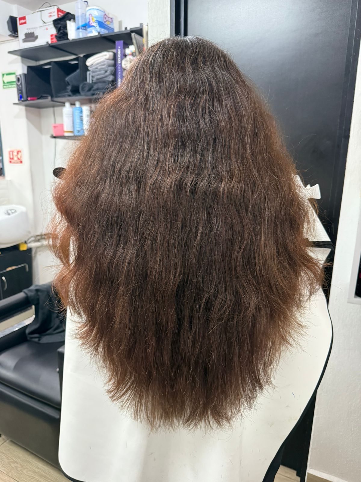Corte Escencial XL.